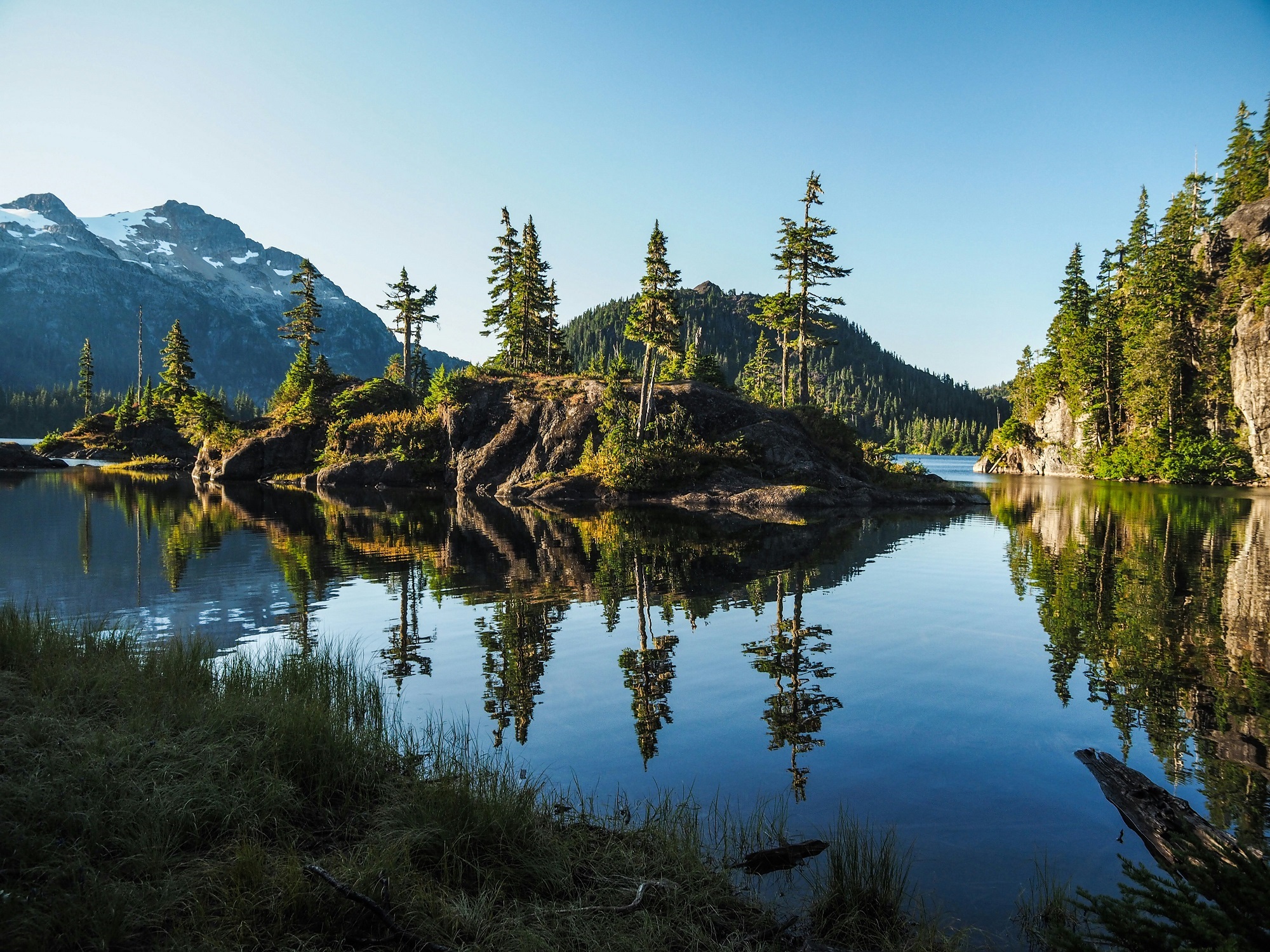 vancouver island marketing consulting